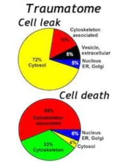 Early late localization pie charts