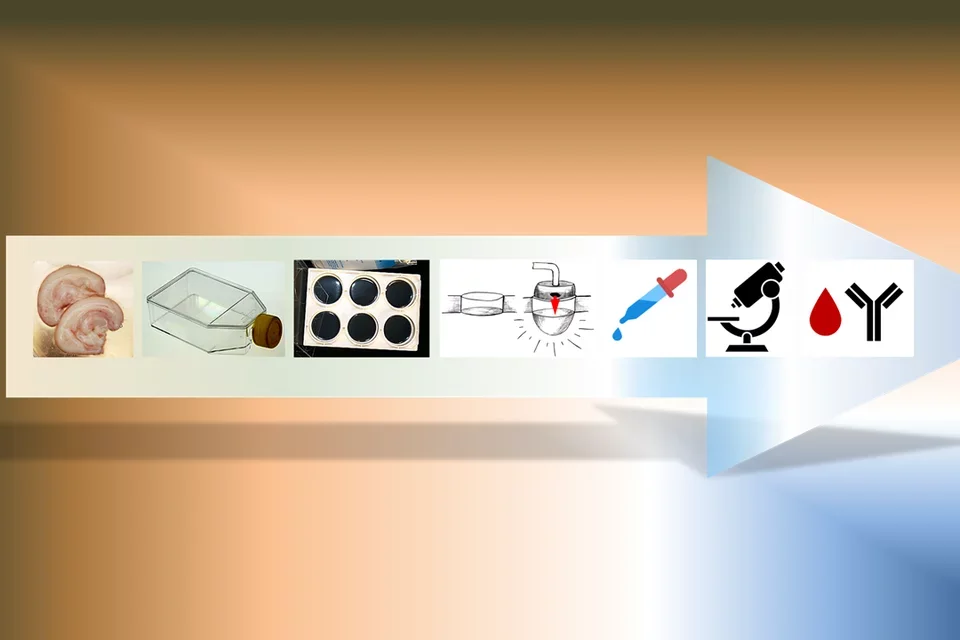 Schematic showing process.