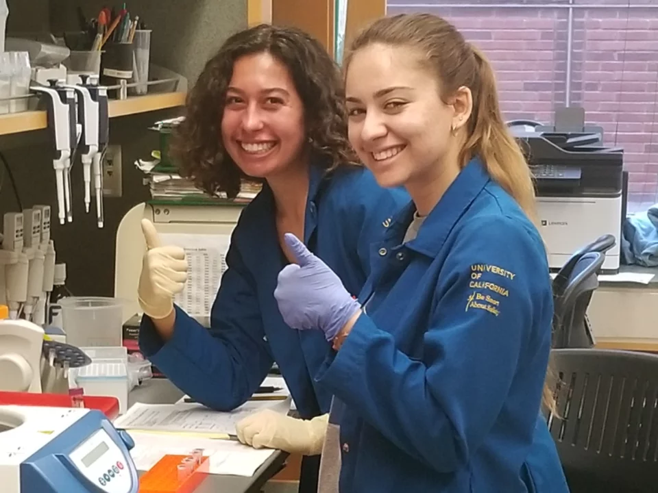 Working in the Wanner lab at the bench running Westerns are Victoria Parrilli, lab manager and Rochelle Bitolas, Student Researcher in February 2019.